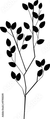 silhouette of sapling