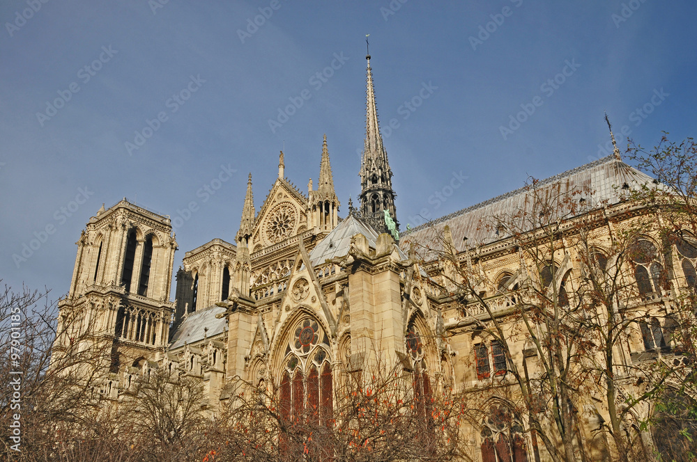 Parigi, la cattedrale di Notre Dame