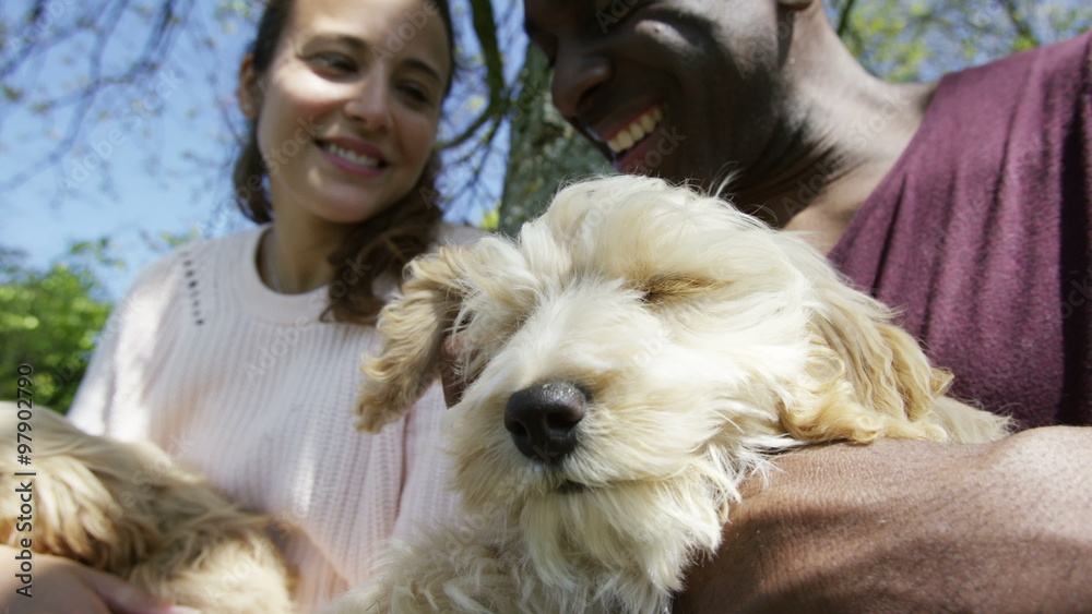  Couple relaxing in the park with 2 cute young cocker-poo puppies. 