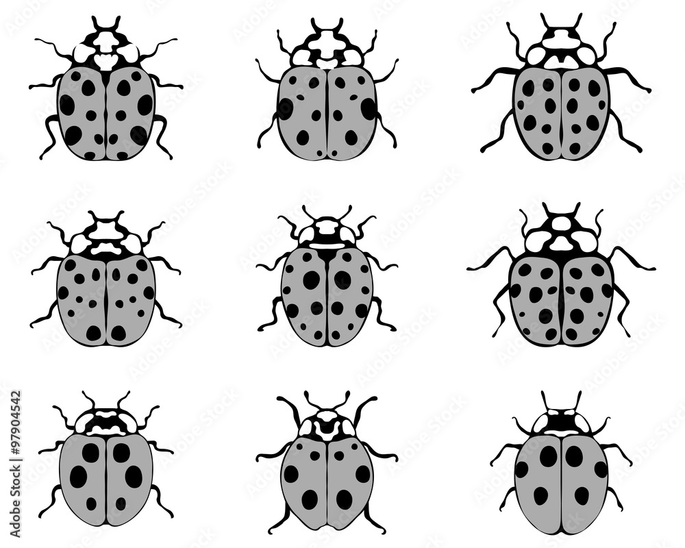 Naklejka premium Set of nine different cheerful ladybugs, illustration