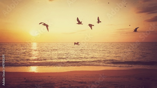 Sunrise and flying birds over the sea