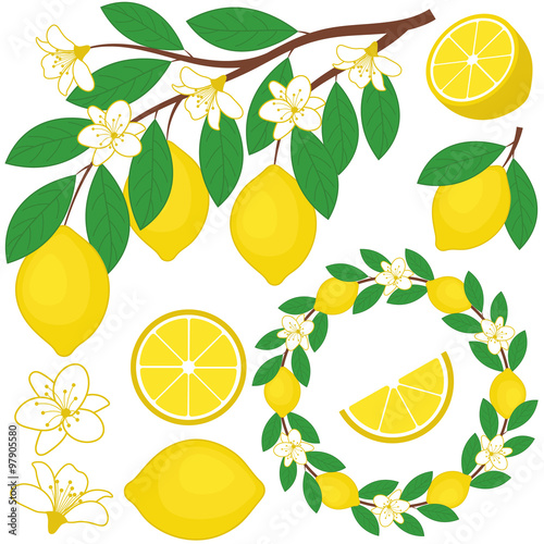 Lemons Set