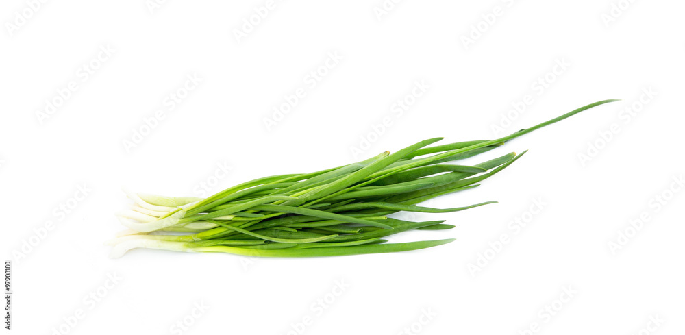 Green Onion Green Onion