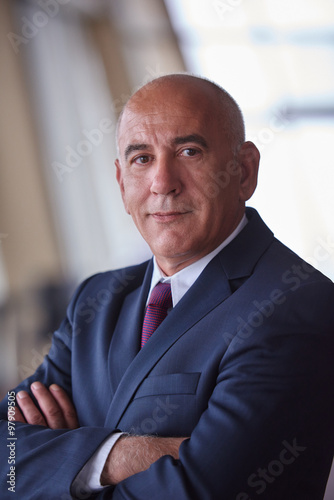 senior business man portrait