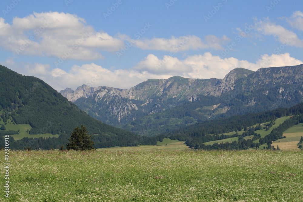 Obraz premium Alp views in Germany, 2009