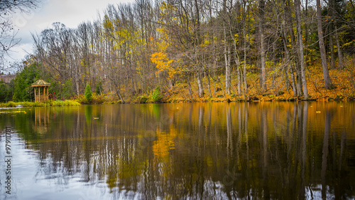 Reflective Autumn Pond Landscape