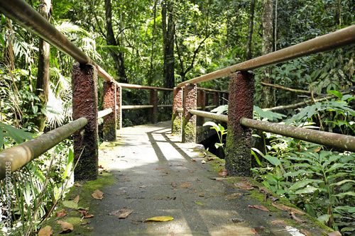 The way goto Haew narok waterfall, khao yai national park, Thailand
 photo