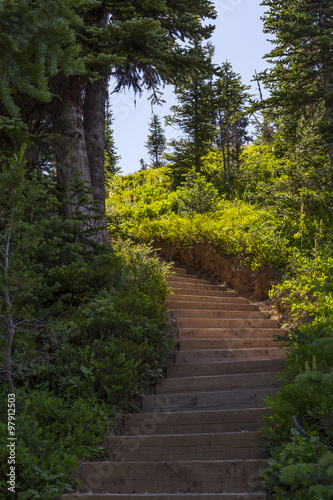 Stairway in Wilderness Trail