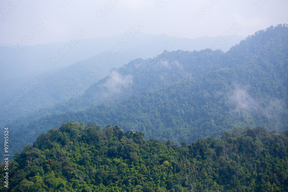 aerial view of plentifully rain forest ,Thailand