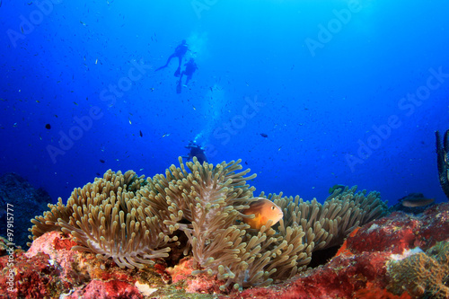 Fototapeta Naklejka Na Ścianę i Meble -  Scuba divers diving on coral reef with fish sea ocean underwater