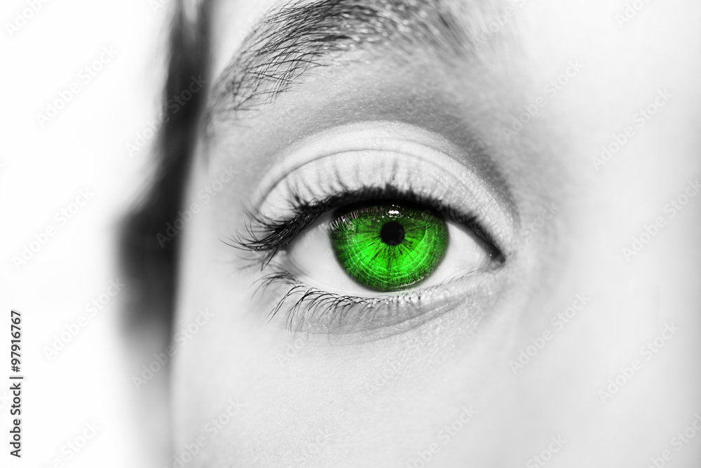 Obraz premium A beautiful insightful look eye. Close up shot