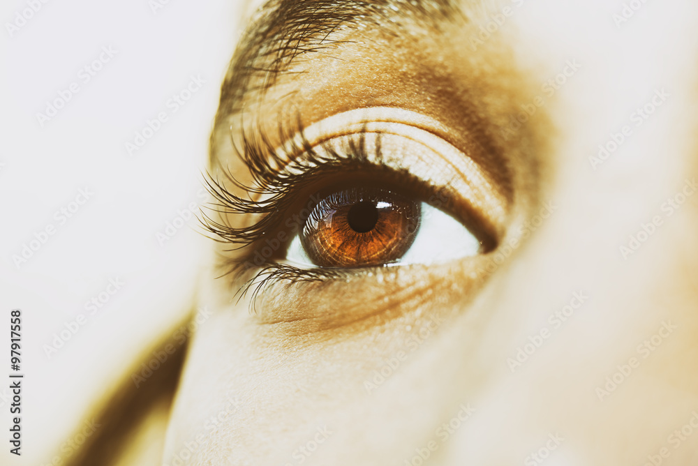 Naklejka premium A beautiful insightful look eye. Close up shot