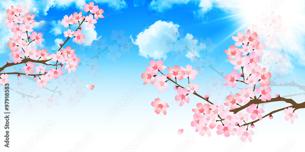 桜　春　空　背景