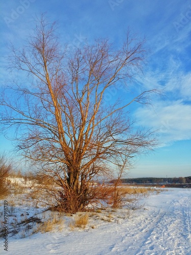 Wallpaper Mural Зимний пейзаж Torontodigital.ca