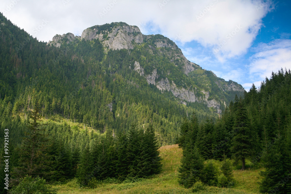 Summer mountains landscape. Koscieliska Valley in Tatra mountains. Zakopane, Poland.