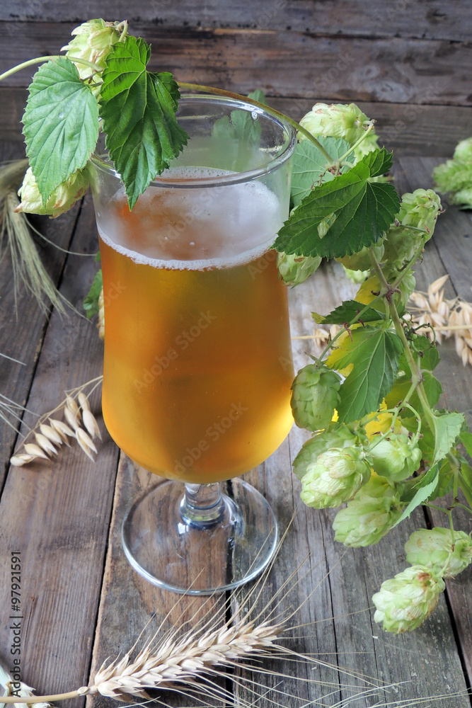 Light beer and hops Light beer and hops