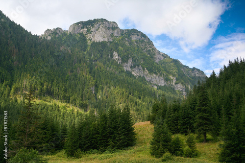 Summer mountains landscape. Koscieliska Valley in Tatra mountains. Zakopane, Poland.