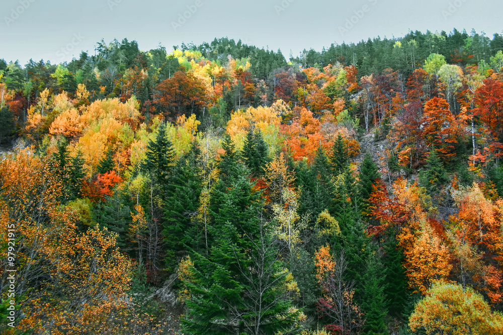 Fall in Bulgaria