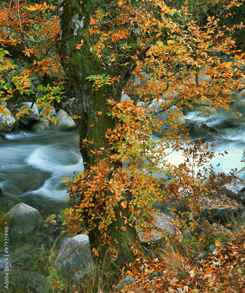 Fall in Bulgaria Fall in Bulgaria