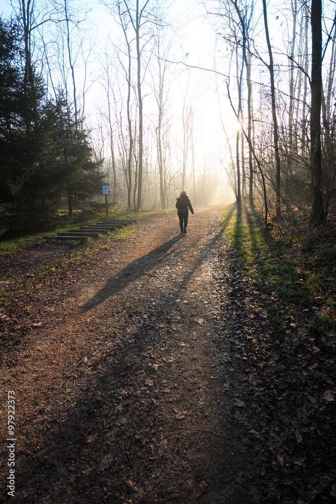 sentiero nel parco del Lura - Lomazzo sentiero nel parco del Lura - Lomazzo