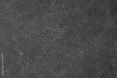 leather texture background / leather texture