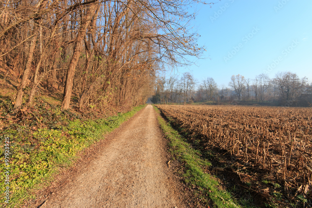 sentiero nel parco del Lura - Lomazzo sentiero nel parco del Lura - Lomazzo