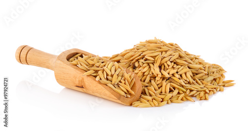 rice grains isolated on white background photo