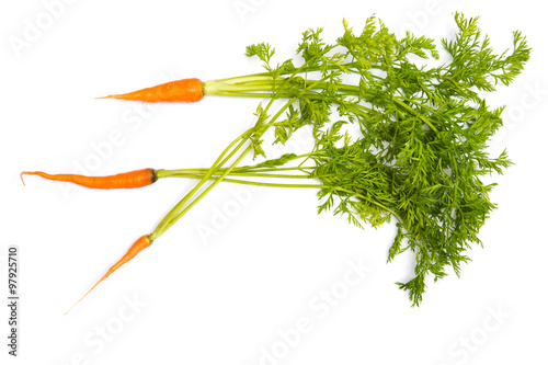 Bunch of baby carrots isolated on white background