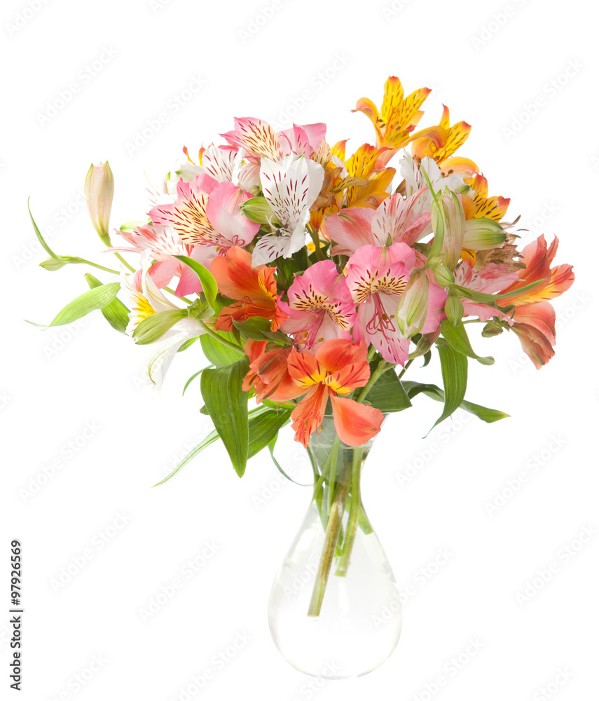 Fototapeta premium Bouquet of Alstroemeria flowers isolated on white background.