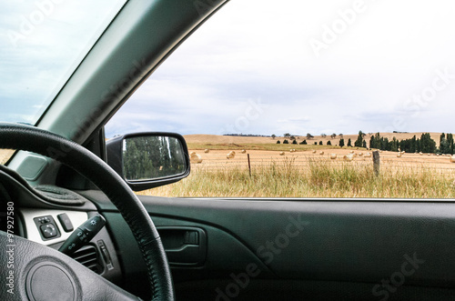 View of country paddocks from car window © Mantis Design