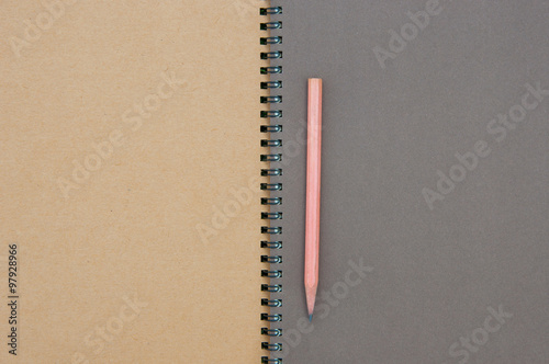 book and diary