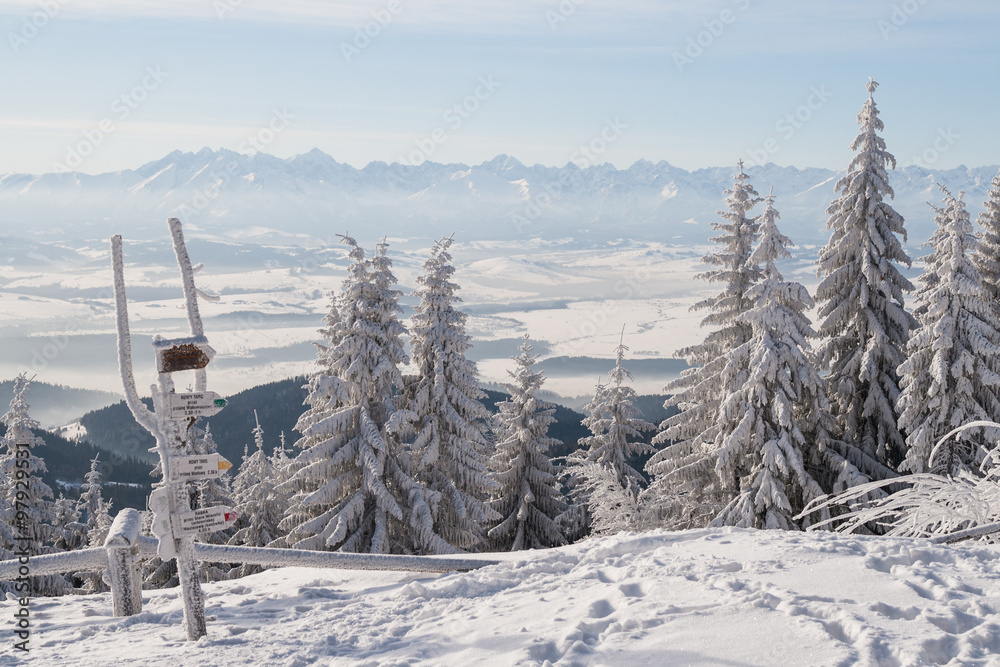 Fototapeta premium Panorama na Tatry ze Schronisko pod Turbaczem