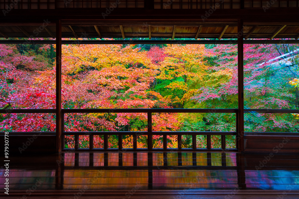Naklejka premium Jesienne liście w świątyni Rurikoin w Kioto