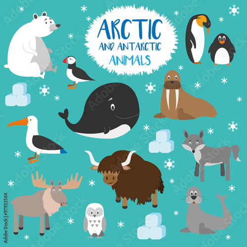 Dibujos animados de animales polares y árticos. zorro nival, foca,  frailecillo, morsa, lobo, oso polar y reno. colección de ilustraciones  vectoriales educativas.