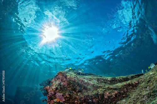 nurkowanie w kolorowej rafie podwodnej