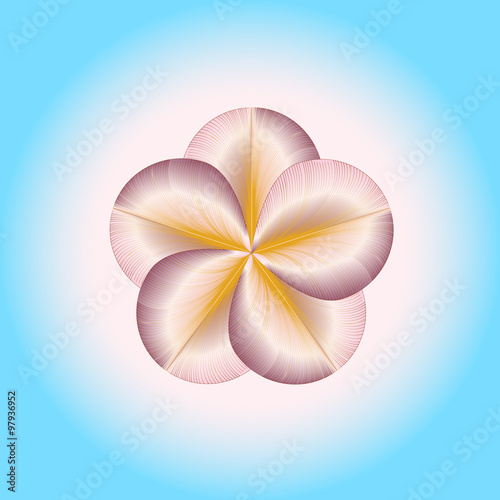 beautiful frangipani on blue background