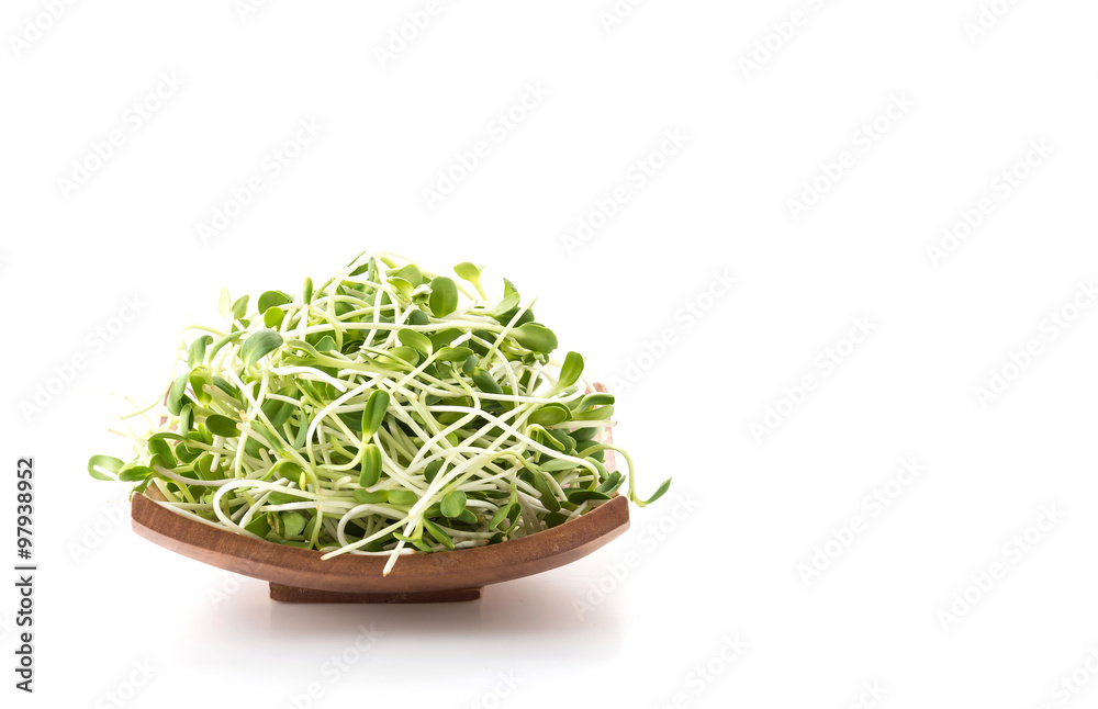 Sunflower Sprouts Sunflower Sprouts