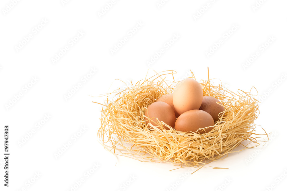 hen egg hen egg