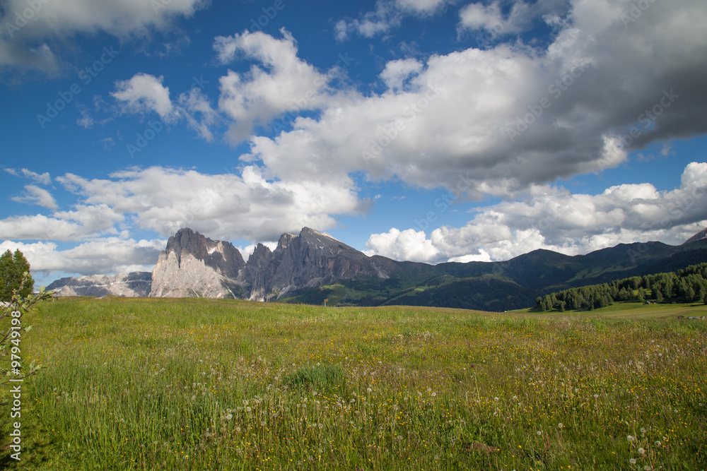 Dolomiti