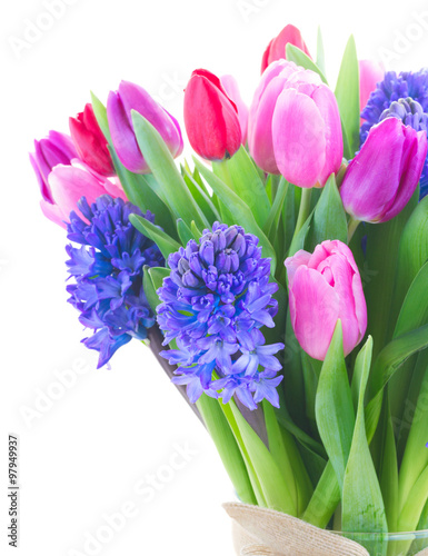 bouquet of blue hyacinth and tulips 