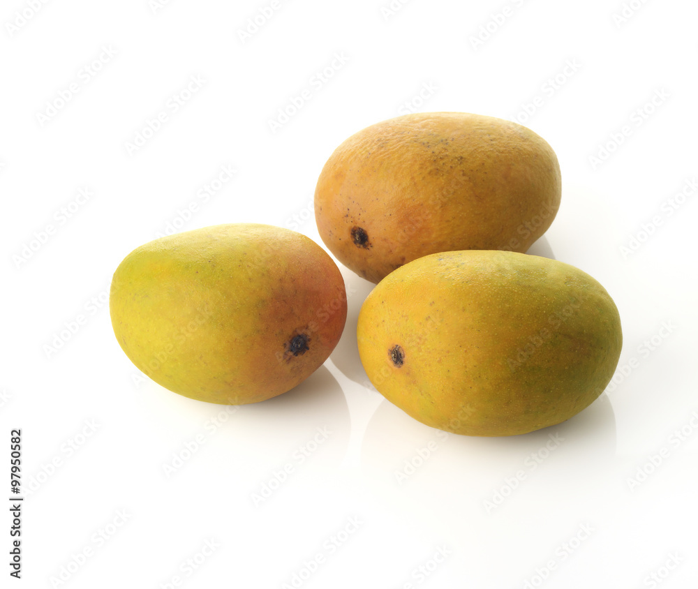 Three Alphonso Mangoes / High resolution image of three fresh Alphonso mangoes over white background shot in studio.