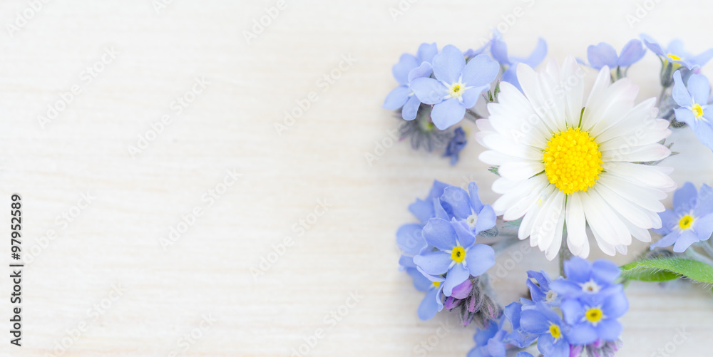 Obraz premium Holzhintergrund mit Gänseblümchen und Vergissmeinnicht