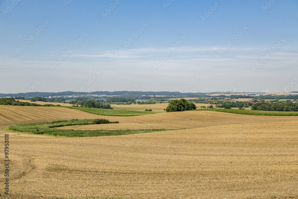 H'DR landscape with fields and cloudscape in summer