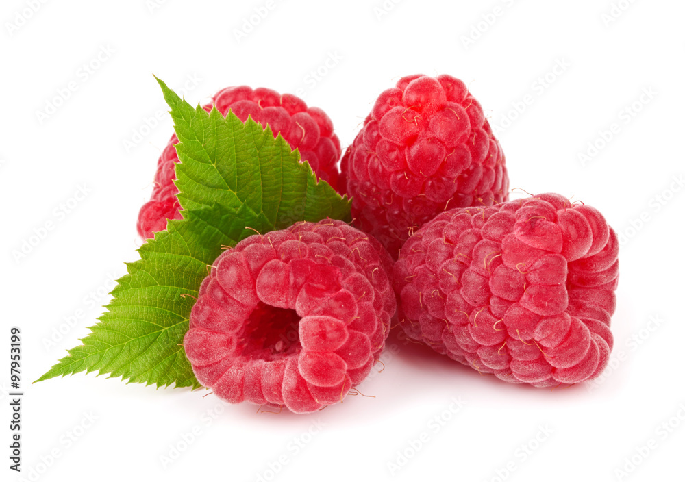 Raspberry Raspberry