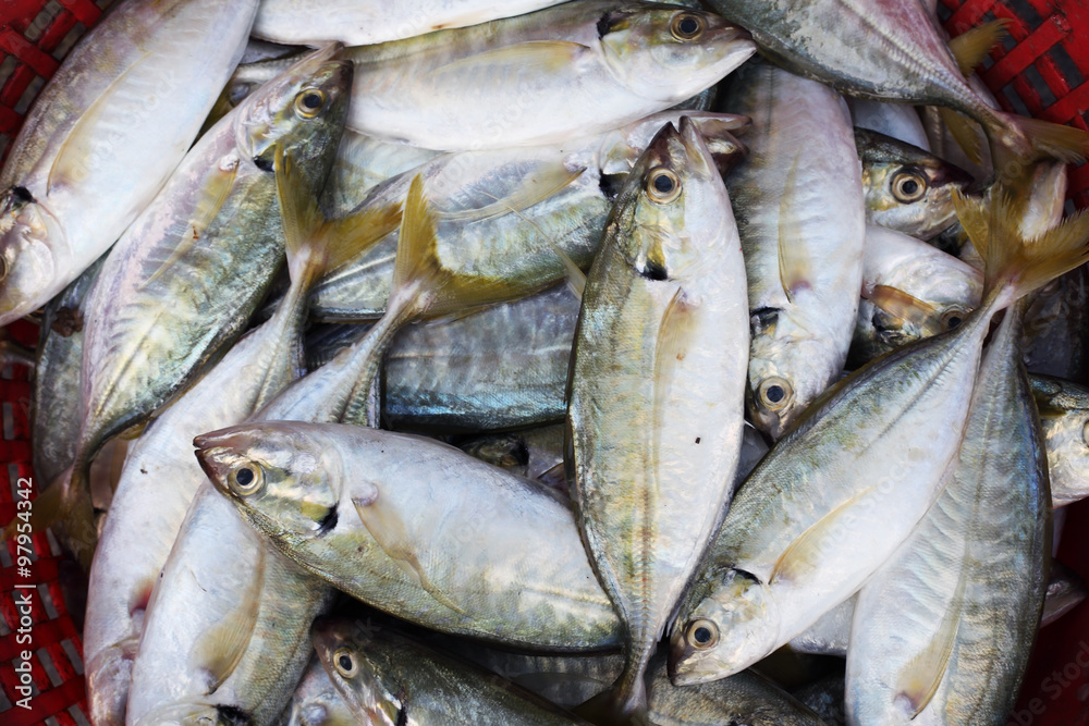 fresh fish in basket