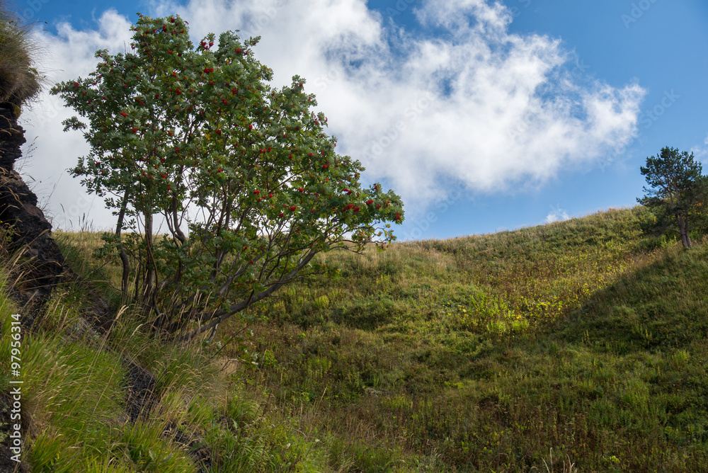 Majestic mountain landscapes of the Caucasian reserve Majestic mountain landscapes of the Caucasian reserve