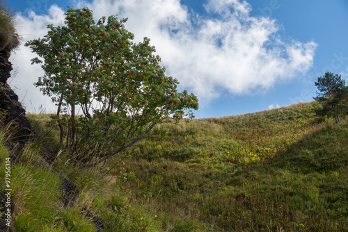 Majestic mountain landscapes of the Caucasian reserve