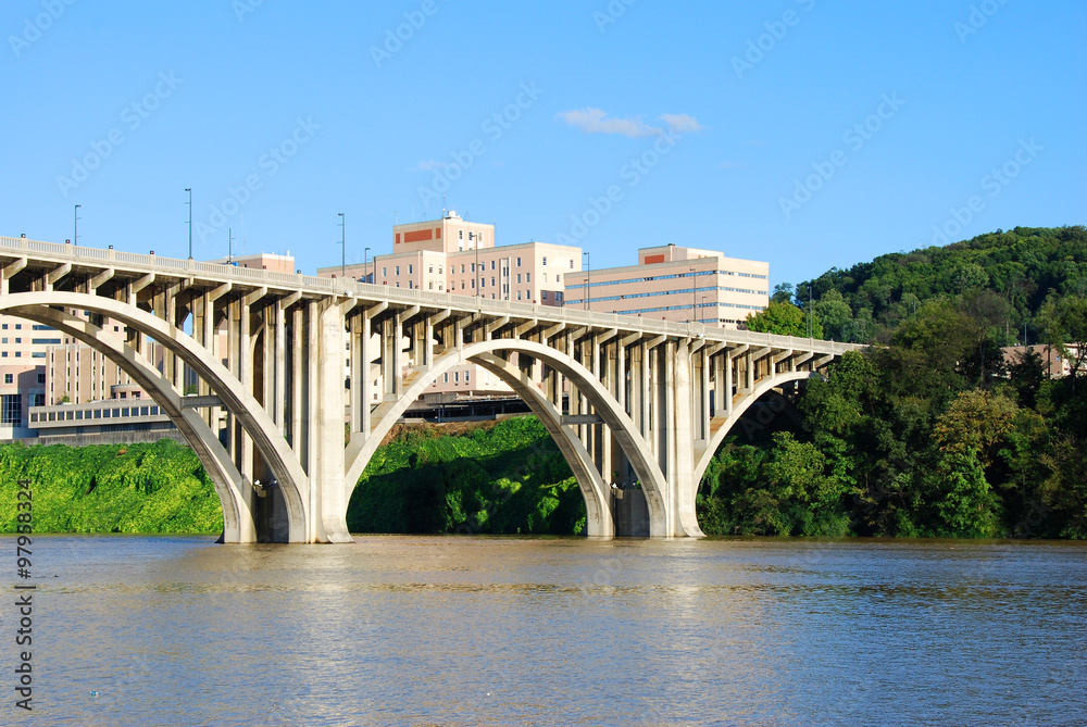 Knoxville Bridge Over Tennessee River