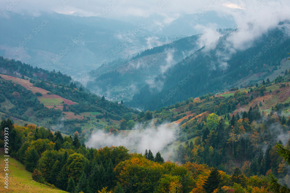 Foggy autumn day in mountains . Green hills . Fairy landscape . Birth of clouds .