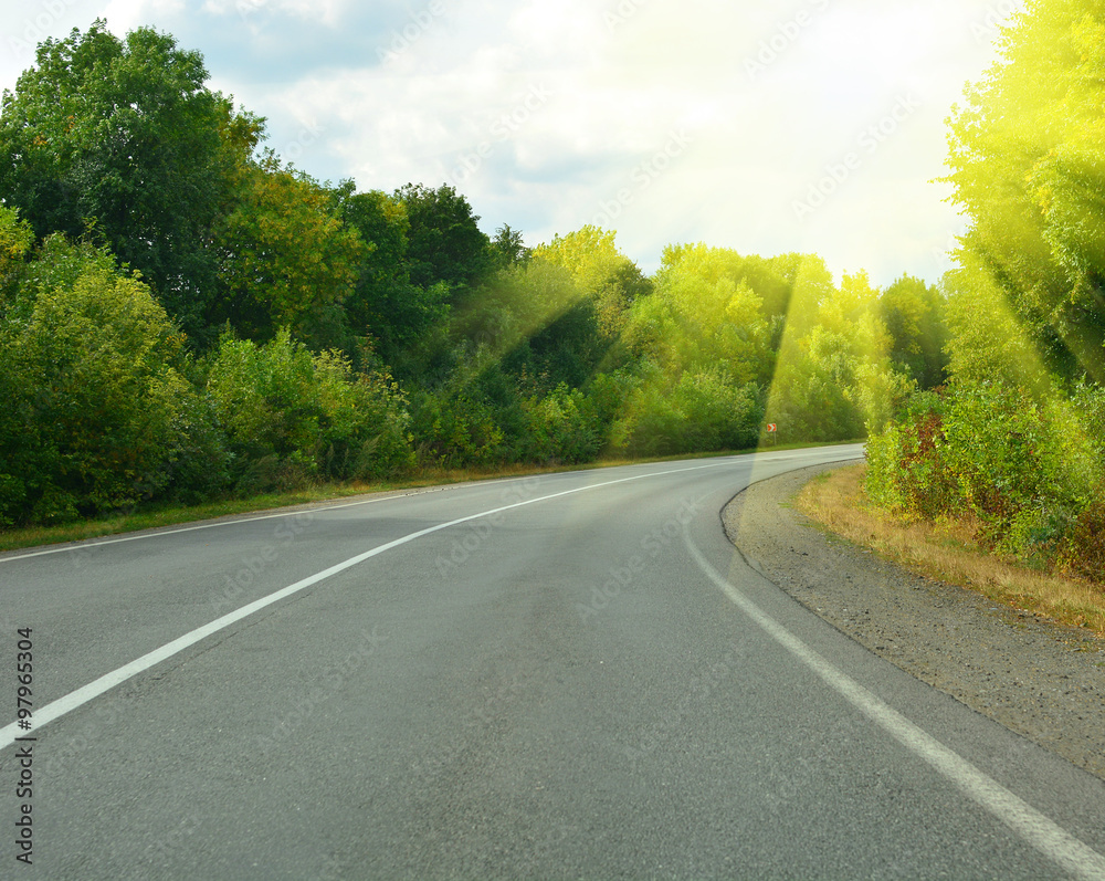 Empty asphalt road in forest